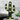 Cactus LED Night Light - Cute Decorative Lamp - DecorOfficial