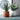 Aruba Ceramic Face Planters - Decorative Succulent Pots - DecorOfficial