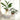AquaRoots Glass Propagators - Stylish Plant Growth Containers with Cork Lid - DecorOfficial