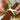 Multifunctional Stainless Steel Kitchen Scissors - 5 Layers for Versatile Cutting - DecorOfficial