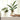 AquaRoots Glass Propagators - Stylish Plant Growth Containers with Cork Lid - DecorOfficial