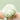 Long Handle Bath Brush - Ultra Soft Body Cleaning Brush - DecorOfficial
