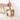 Japanese Style Chopsticks Holder - Multi-Function Storage Container - DecorOfficial