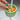 Universal Cactus Drain Filter - Anti-Clogging Kitchen Sink Strainer - DecorOfficial