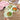 Cartoon Car Baby Bowls - Kids Food Plate Tableware - DecorOfficial