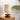 WoodWave Desk Lamp - Modern Wooden Table Light - DecorOfficial