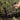 Portable Mini Survival Saw - Multifunctional Folding Tool - DecorOfficial