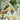 Window Cleaner - Triple Flow Water Collector - DecorOfficial