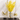 Golden Wands - Magical Cosplay Accessories for Fantasy Themes - DecorOfficial