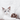 Natural Cat Mint Ball - Fun Healthy Cat Toy - DecorOfficial
