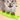 Cat Dental Chew Toy 3-in-1 Molar Cleaning Stick for Fresh Breath Healthy Teeth - DecorOfficial