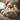 Oversized Plush Animal Beds - Cozy Pet Lounge - DecorOfficial