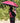 Folding Umbrella with Bracket - Easy Flex Design for Convenience - DecorOfficial