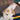 Giant Plush Dog Toy - Soft Stuffed Puppy - DecorOfficial