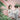 Kids Waterproof Transparent Raincoat - Cute Kids Rainwear - DecorOfficial