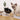 Non-Slip Pet Feeder Bowl - Easy to Clean Dog Cat Dish - DecorOfficial