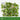 Adjustable Retractable Fence Cover - Natural-Looking Privacy Solution - DecorOfficial