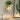Nordic Wooden Outdoor Wall Lamp Vase - Unique Garden Decor - DecorOfficial
