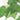 Adjustable Retractable Fence Cover - Natural-Looking Privacy Solution - DecorOfficial