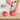 Stainless Steel Apple Seed Remover Tool - DecorOfficial