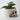 Realistic Skull Flower Vase - Unique Home Decor Gothic Accent - DecorOfficial