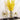Golden Wands - Magical Cosplay Accessories for Fantasy Themes - DecorOfficial
