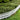 Portable Garden Fence Set - Easy Outdoor Barrier - DecorOfficial