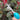 Fruit Picking Shears - Non-Slip Trimming Tool - DecorOfficial
