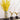 Golden Wands - Magical Cosplay Accessories for Fantasy Themes - DecorOfficial