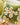 Green Moss Cushion - Decorative Throw Pillow - DecorOfficial