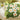 Green Moss Cushion - Decorative Throw Pillow - DecorOfficial