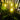 Solar Waterproof Patio Lights - Outdoor Decorative Lighting - DecorOfficial