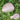 Hidden Garden Security Stone - Discreet Outdoor Safety Decor - DecorOfficial