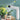 Handheld Easy Gardening Water Sprinkler - DecorOfficial