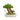 Cat Sofa Bed - Interactive Forest Design - DecorOfficial