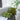 Green Floral Sofa Cushion Pillowcase - Home Decor Square Pillow - DecorOfficial