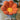 Sunflower Soft Seat Cushion - Golden Blossom Design - DecorOfficial