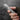 EDC Survival Knife - Elite Window Breaker Tool - DecorOfficial
