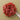 Japanese Rose Bath Sponge - Soft Exfoliating Shower Accessory - DecorOfficial