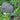 Hidden Garden Security Stone - Discreet Outdoor Safety Decor - DecorOfficial