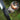Steel Sickle Head - Sharp Multi-Purpose Grass Cutting Tool - DecorOfficial