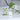 Mini Plant Wall Clips - Self-Adhesive Indoor Plant Holders - DecorOfficial
