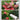 Handheld Easy Gardening Water Sprinkler - DecorOfficial