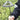 All-Steel Garden Tool - Essential for Master Gardeners - DecorOfficial