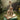 3D Wooden Cello Puzzle - Mechanical Model Kit - DecorOfficial