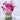 DIY Plantable Doll - Eco-Friendly Plant Head Toy - DecorOfficial