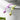 Mushroom Toilet Seat Lifter - Flexible Potty Training Aid for Kids - DecorOfficial