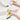 Dish Scrubber Brush with Soap Dispenser - Kitchen Cleaning Tool - DecorOfficial