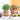 DIY Plantable Doll - Eco-Friendly Plant Head Toy - DecorOfficial