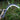 Steel Sickle Head - Sharp Multi-Purpose Grass Cutting Tool - DecorOfficial